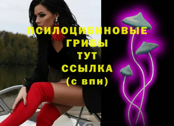 первитин Нягань