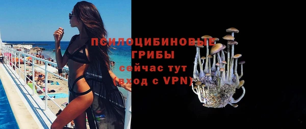 альфа пвп Нязепетровск