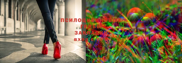 первитин Нягань