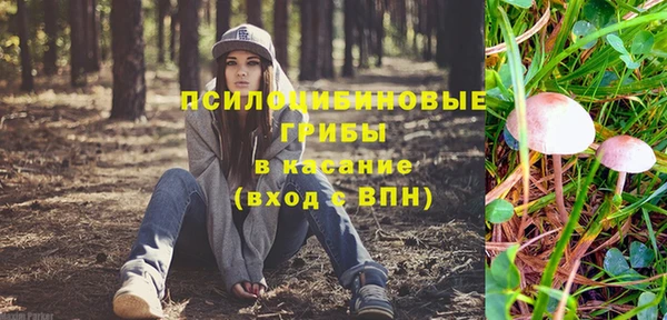 альфа пвп Нязепетровск