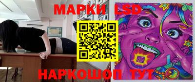 сатива Кимры
