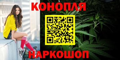 сатива Кимры