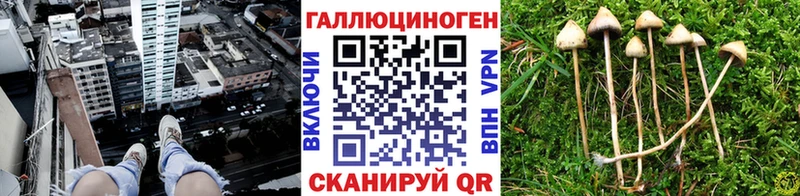 Галлюциногенные грибы прущие грибы  Лесозаводск 
