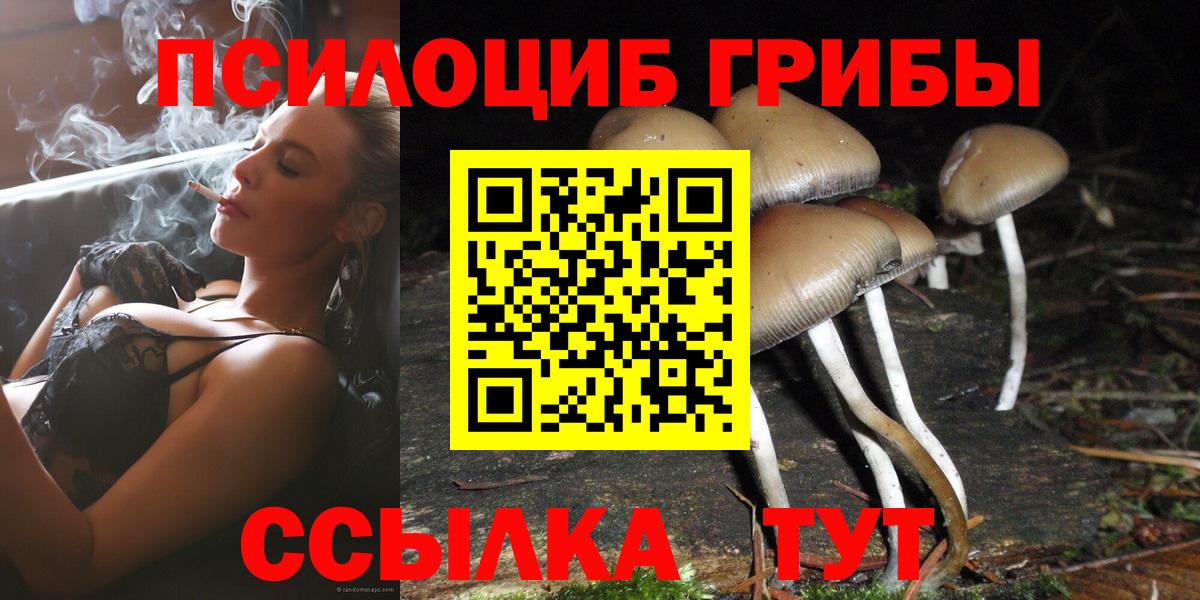 Лесозаводск  Галлюциногенные грибы Cubensis  продажа наркотиков  Вход с VPN  Галлюциногенные грибы MAGIC MUSHROOMS 
