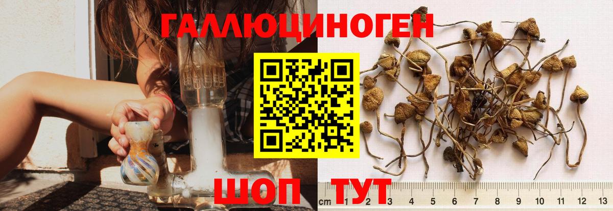 Псилоцибиновые грибы Magic Shrooms Лесозаводск