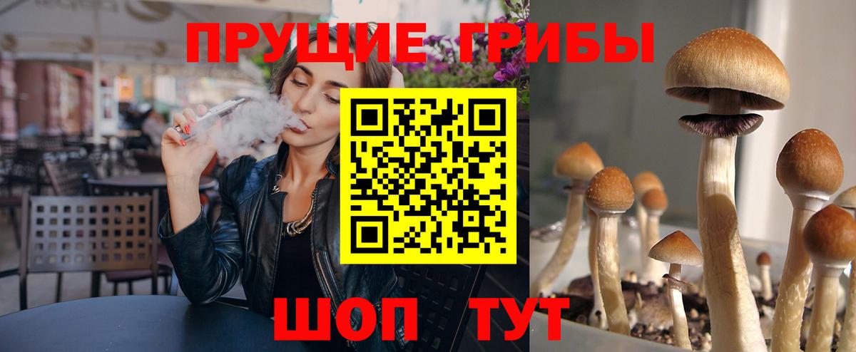 Галлюциногенные грибы Psilocybe  Лесозаводск 