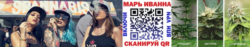 где найти   Лесозаводск  kraken   Бошки марихуана ГИДРОПОН 